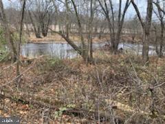 5696 Spring Road Shermans Dale, PA 17090 - Photo 10 of 11 Gallery Image 10
