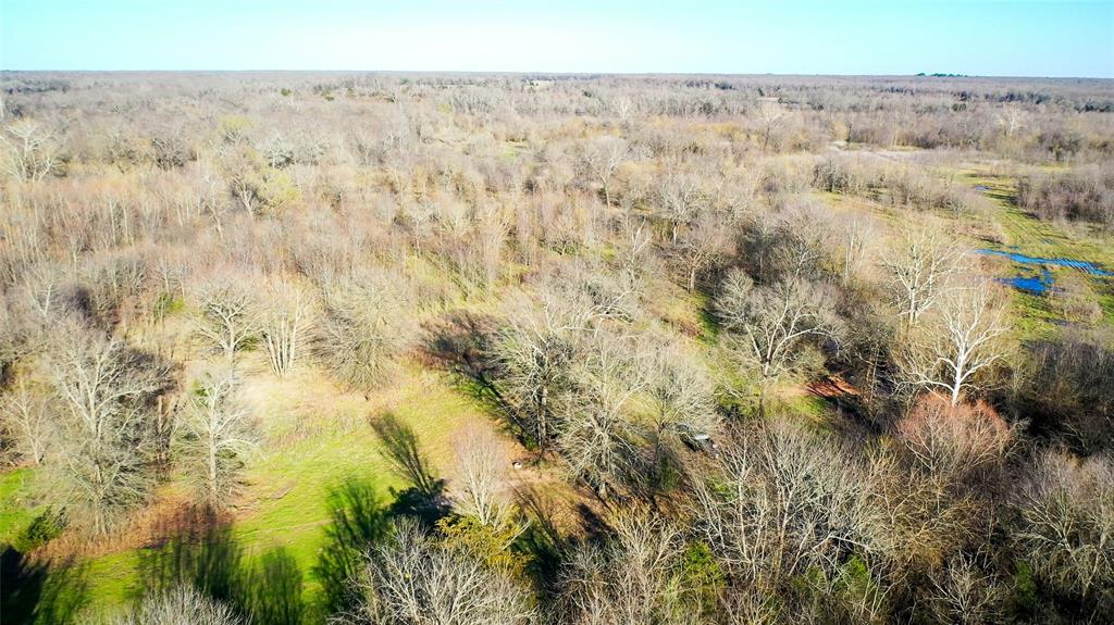 36330 Co Road Sumner, TX 75486 - Photo 13 of 40