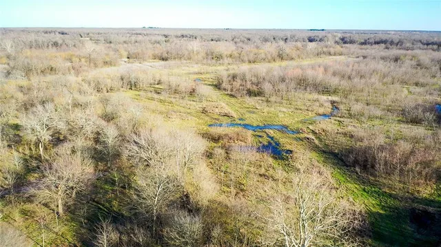 a backyard of a house with large trees