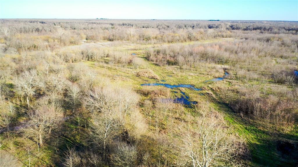 36330 Co Road Sumner, TX 75486 - Photo 14 of 40 a view of ocean and green space