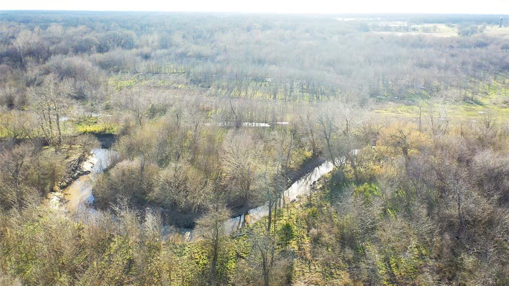 36330 Co Road Sumner, TX 75486 - Photo 16 of 40 a view of residential space and tree