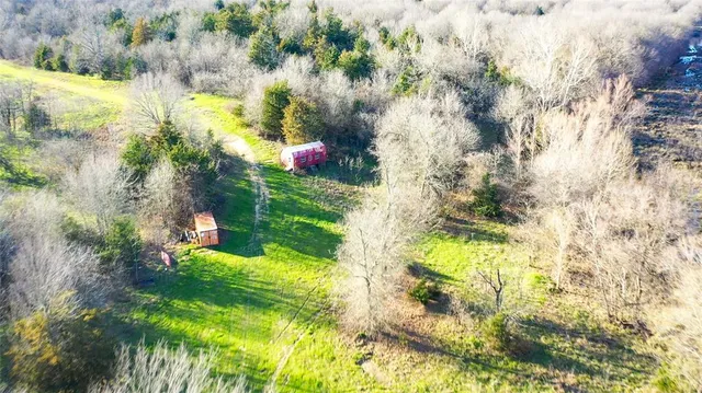 a view of a garden with a lake