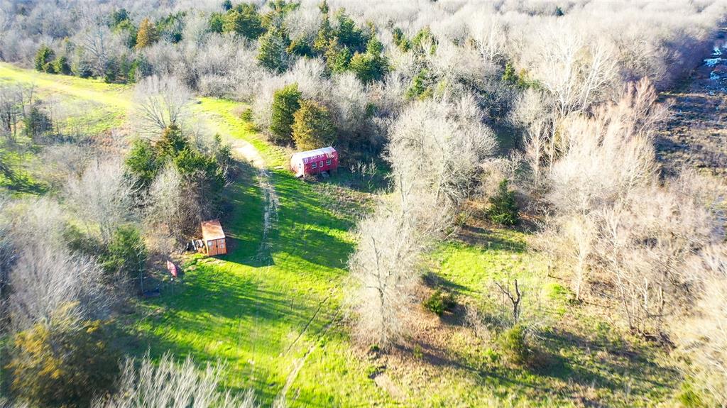 36330 Co Road Sumner, TX 75486 - Photo 20 of 40 a view of yard with green space