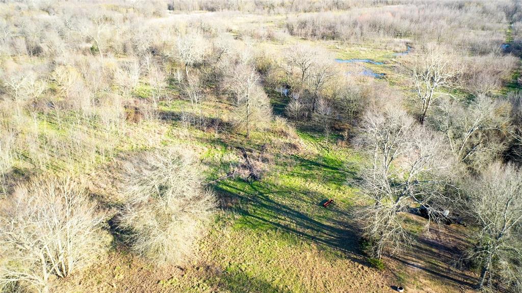 36330 Co Road Sumner, TX 75486 - Photo 21 of 40 a view of a yard
