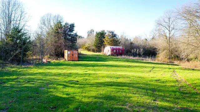 a view of residential trees and plants