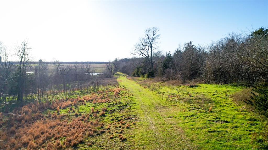 36330 Co Road Sumner, TX 75486 - Photo 26 of 40 a view of a garden with a lake