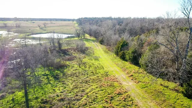 a view of a yard with plants and wooden fence