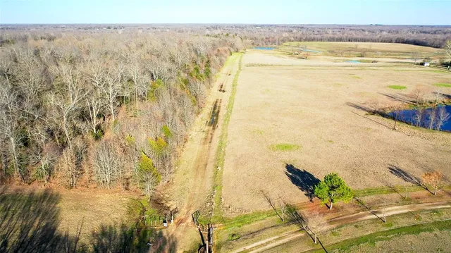 an aerial view of forest