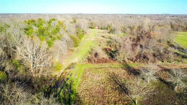 a view of residential houses with trees