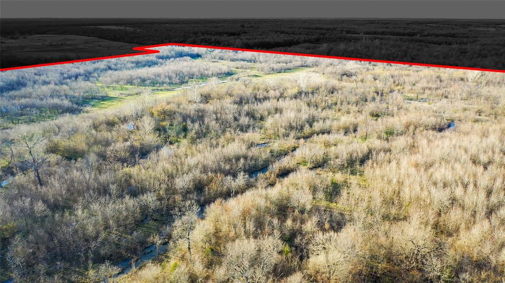 36330 Co Road Sumner, TX 75486 - Photo 3 of 40 a view of a big yard