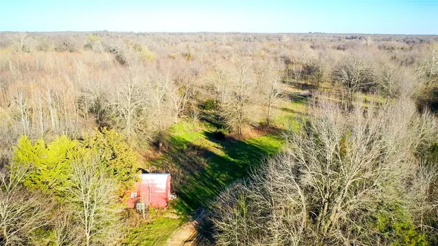 a view of lot of trees