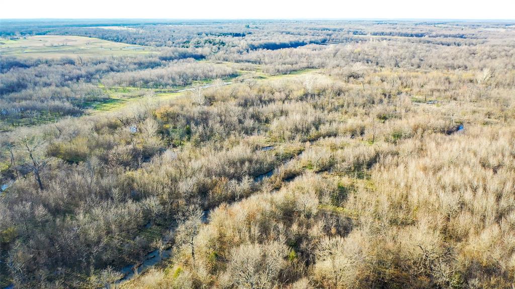 36330 Co Road Sumner, TX 75486 - Photo 36 of 40 an aerial view of forest