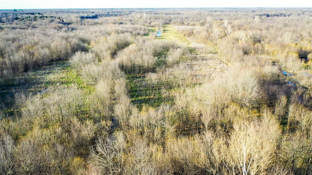 36330 Co Road Sumner, TX 75486 - Photo 40 of 40 a view of lot of trees