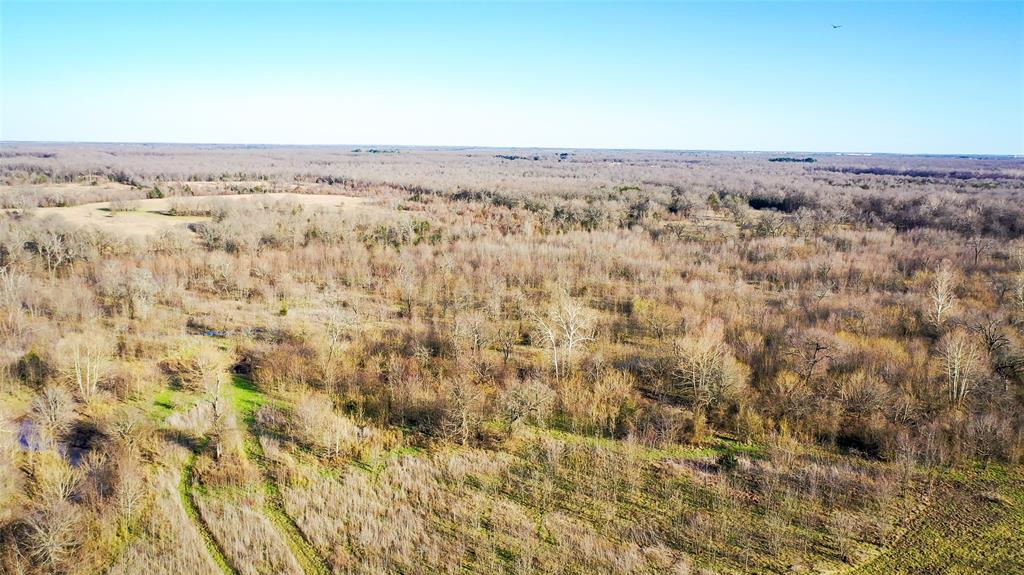 36330 Co Road Sumner, TX 75486 - Photo 7 of 40