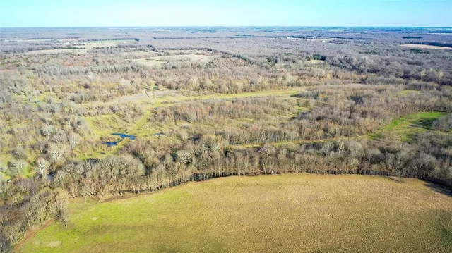 a view of ocean and green space