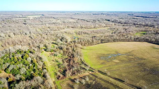 a view of ocean and green space