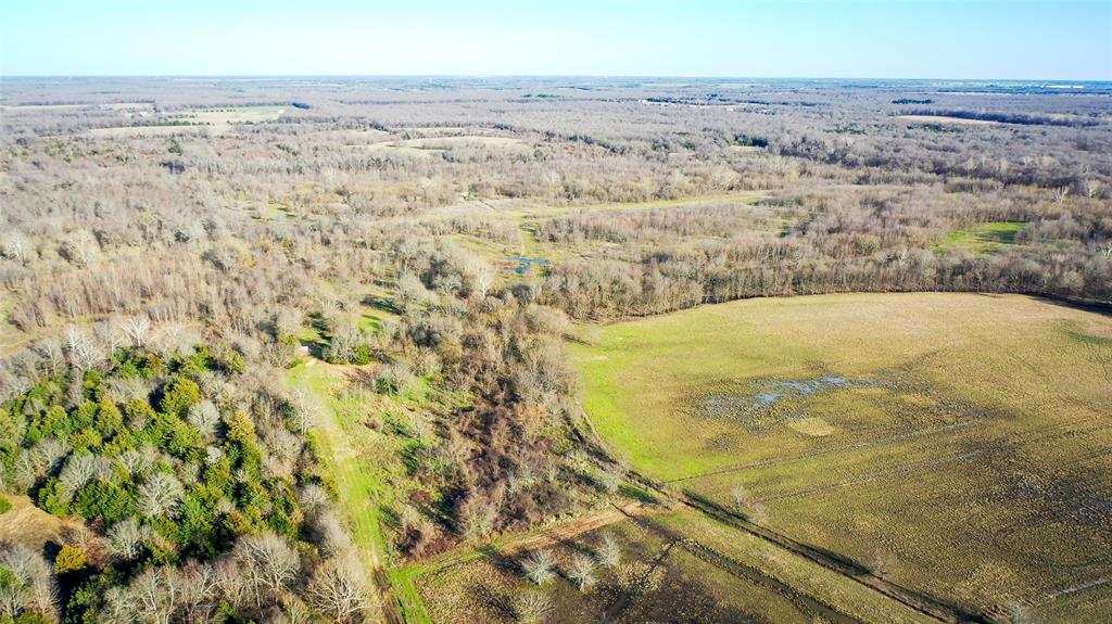 36330 Co Road Sumner, TX 75486 - Photo 10 of 40