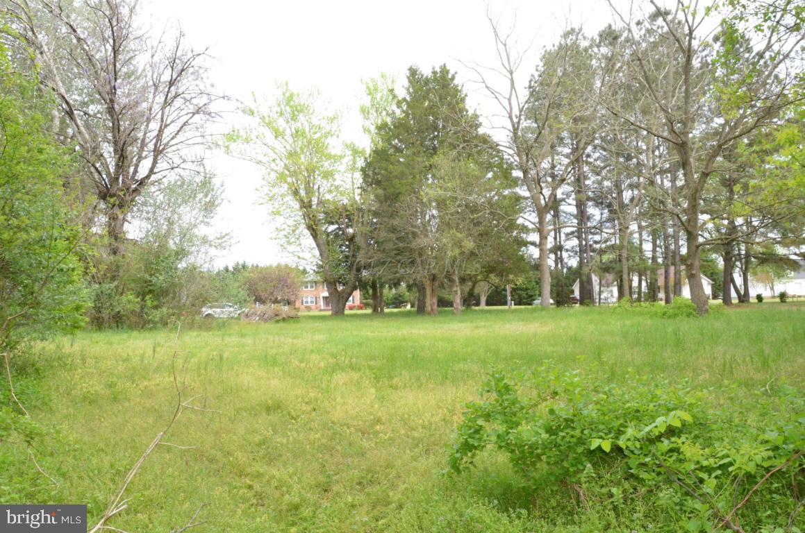 1410 West Road Salisbury, MD 21801 - Photo 3 of 6 Gallery Image 3