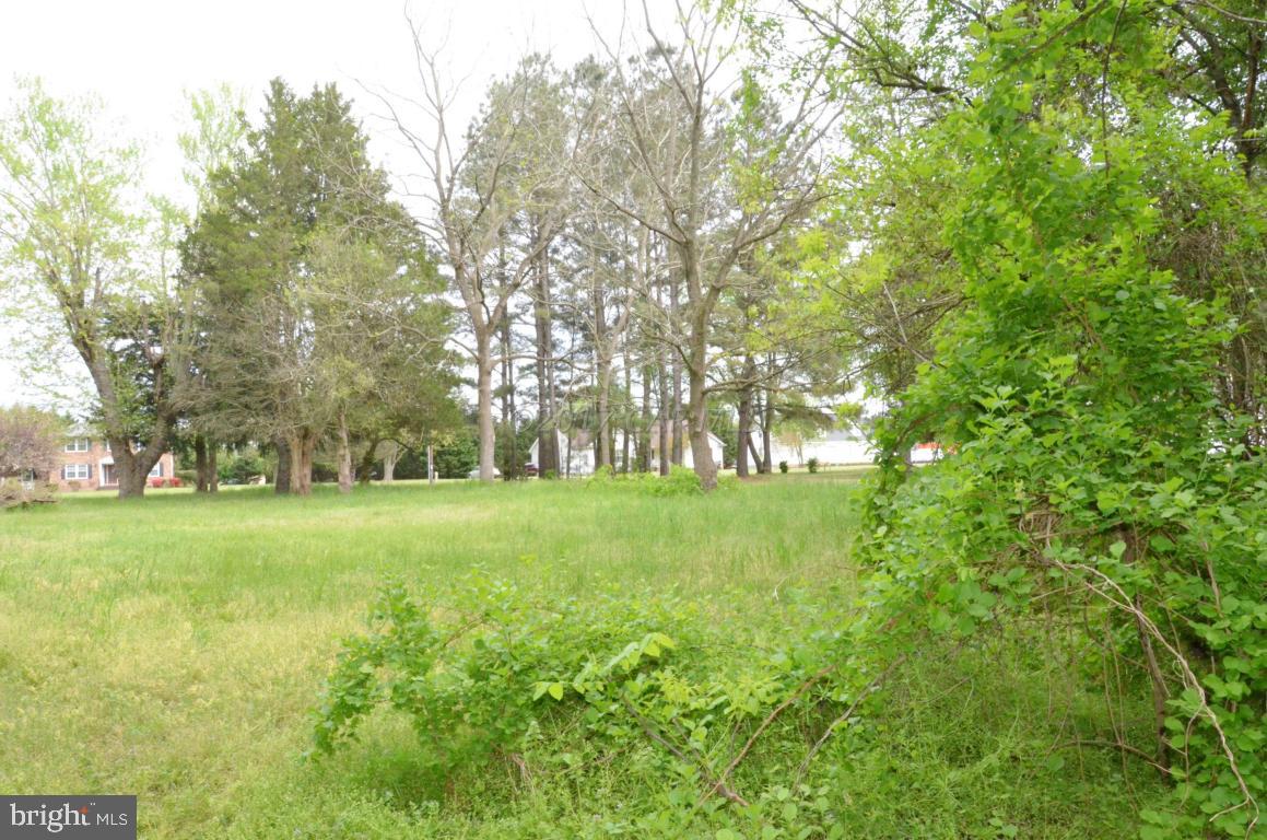 1410 West Road Salisbury, MD 21801 - Photo 4 of 6 Gallery Image 4