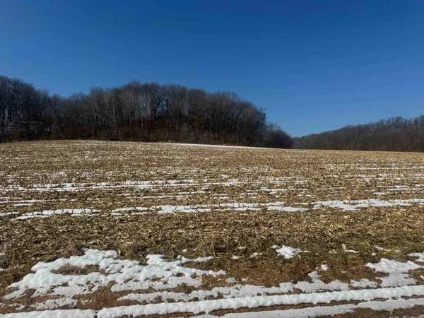$1,000,000 | 189.54-acres Eli Valley, Loganville, WI 53943