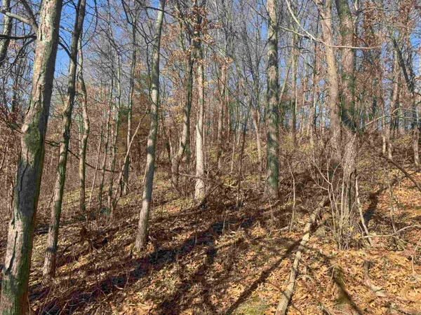 $1,000,000 | 189.54-acres Eli Valley, Loganville, WI 53943