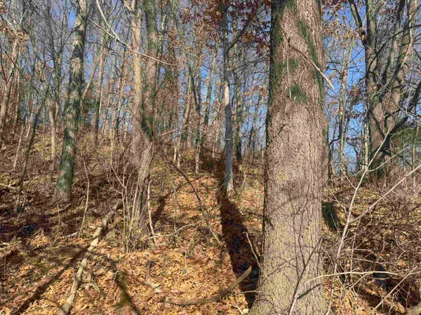 $1,000,000 | 189.54-acres Eli Valley, Loganville, WI 53943