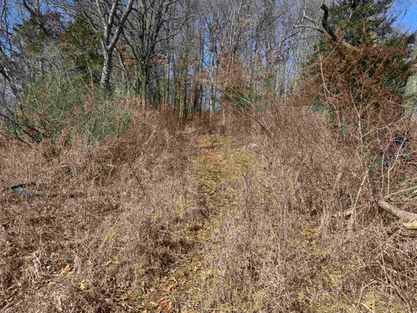 $1,000,000 | 189.54-acres Eli Valley, Loganville, WI 53943