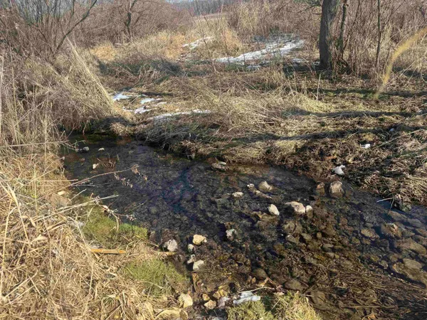 $1,000,000 | 189.54-acres Eli Valley, Loganville, WI 53943