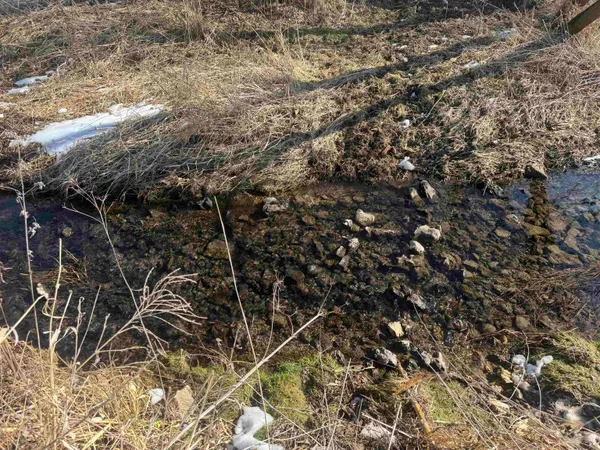 $1,000,000 | 189.54-acres Eli Valley, Loganville, WI 53943