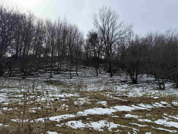 $1,000,000 | 189.54-acres Eli Valley, Loganville, WI 53943