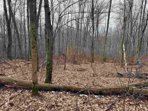 $1,000,000 | 189.54-acres Eli Valley, Loganville, WI 53943