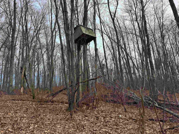 $1,000,000 | 189.54-acres Eli Valley, Loganville, WI 53943