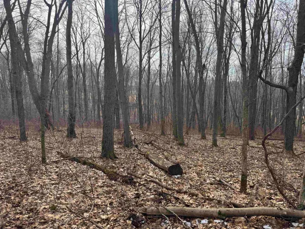 $1,000,000 | 189.54-acres Eli Valley, Loganville, WI 53943