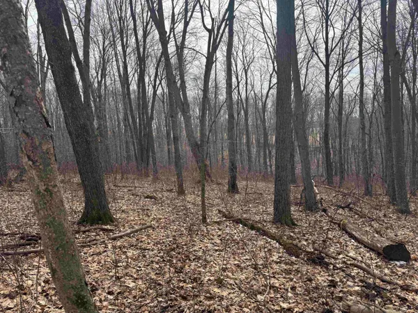 $1,000,000 | 189.54-acres Eli Valley, Loganville, WI 53943