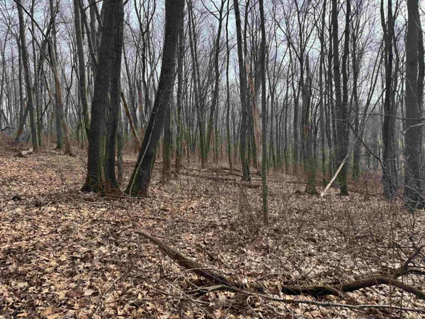 $1,000,000 | 189.54-acres Eli Valley, Loganville, WI 53943