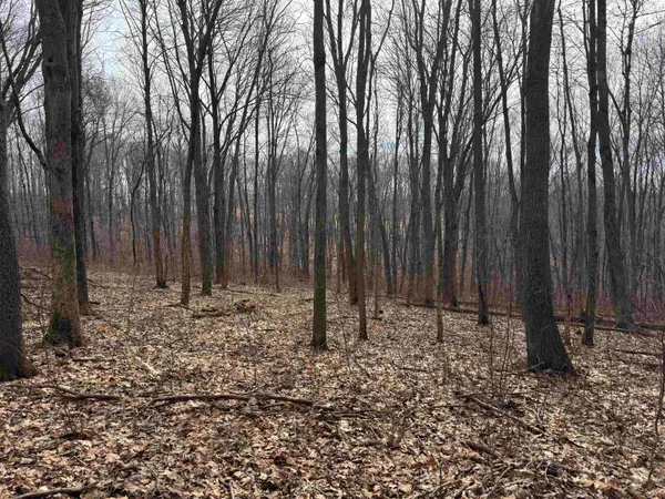 $1,000,000 | 189.54-acres Eli Valley, Loganville, WI 53943