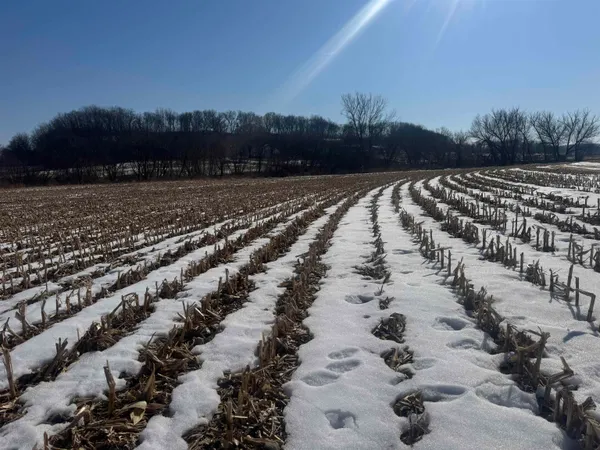 $1,000,000 | 189.54-acres Eli Valley, Loganville, WI 53943