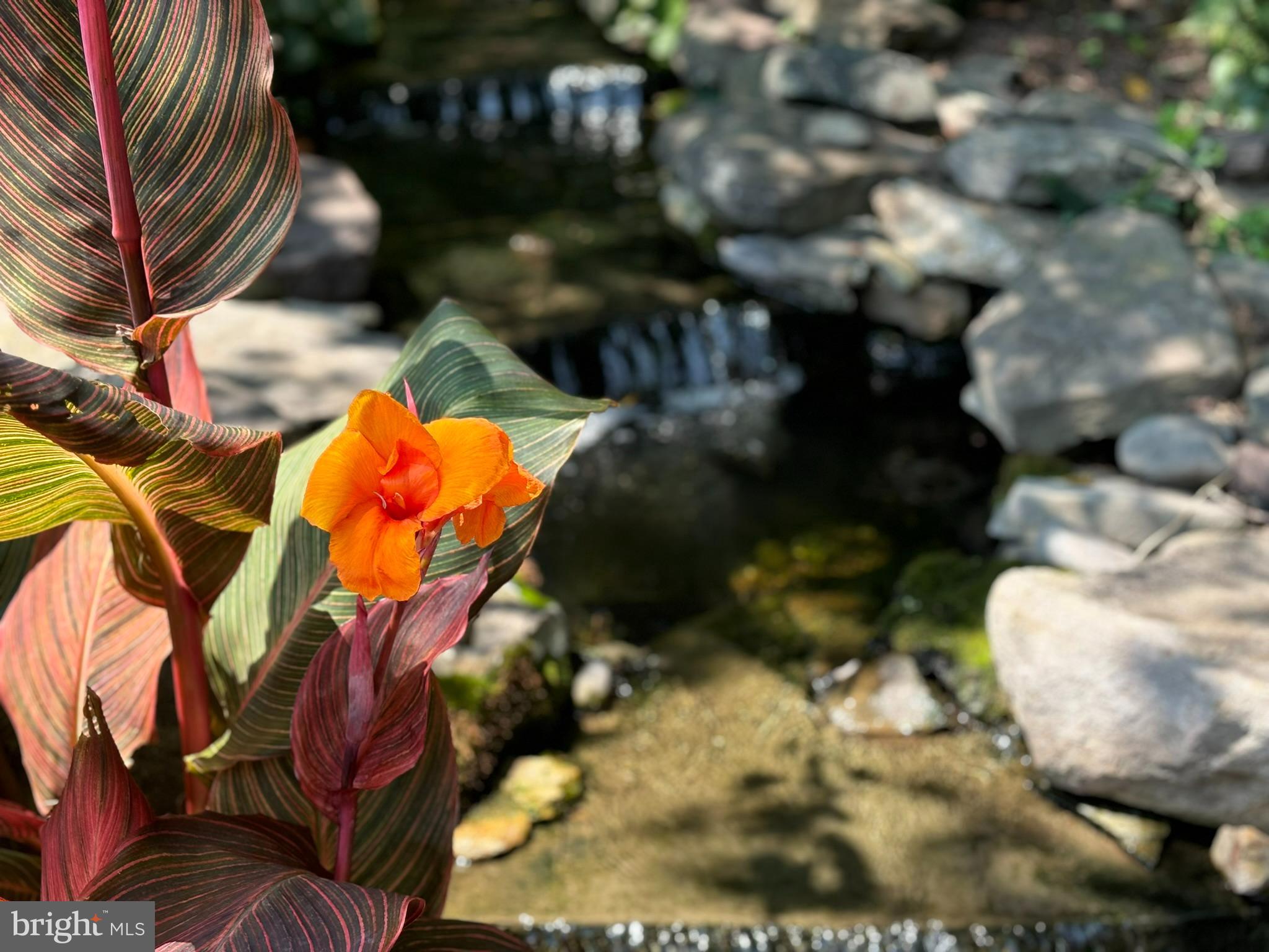 205 Mercury Road Newark, DE 19711 - Photo 33 of 36