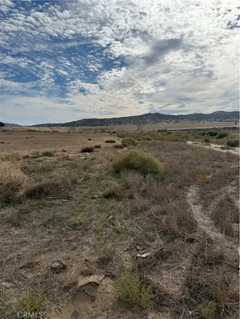a view of a dry yard with trees