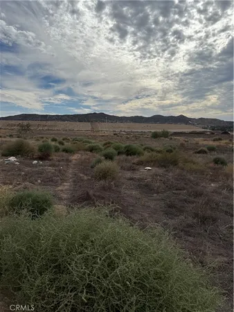 a view of a dry yard with wooden fence