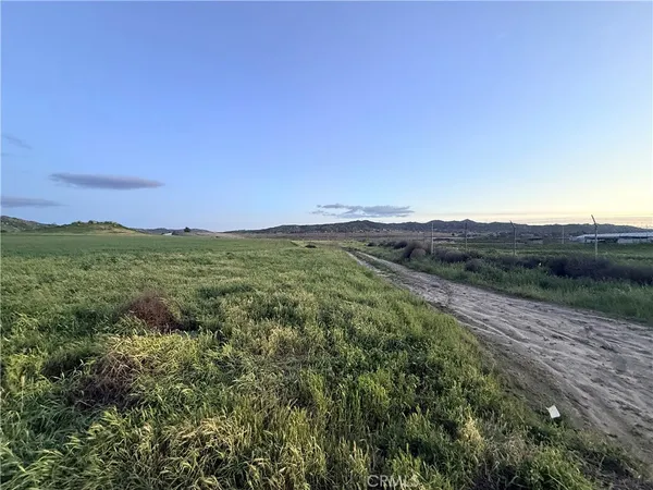 a view of a lush green space with sea