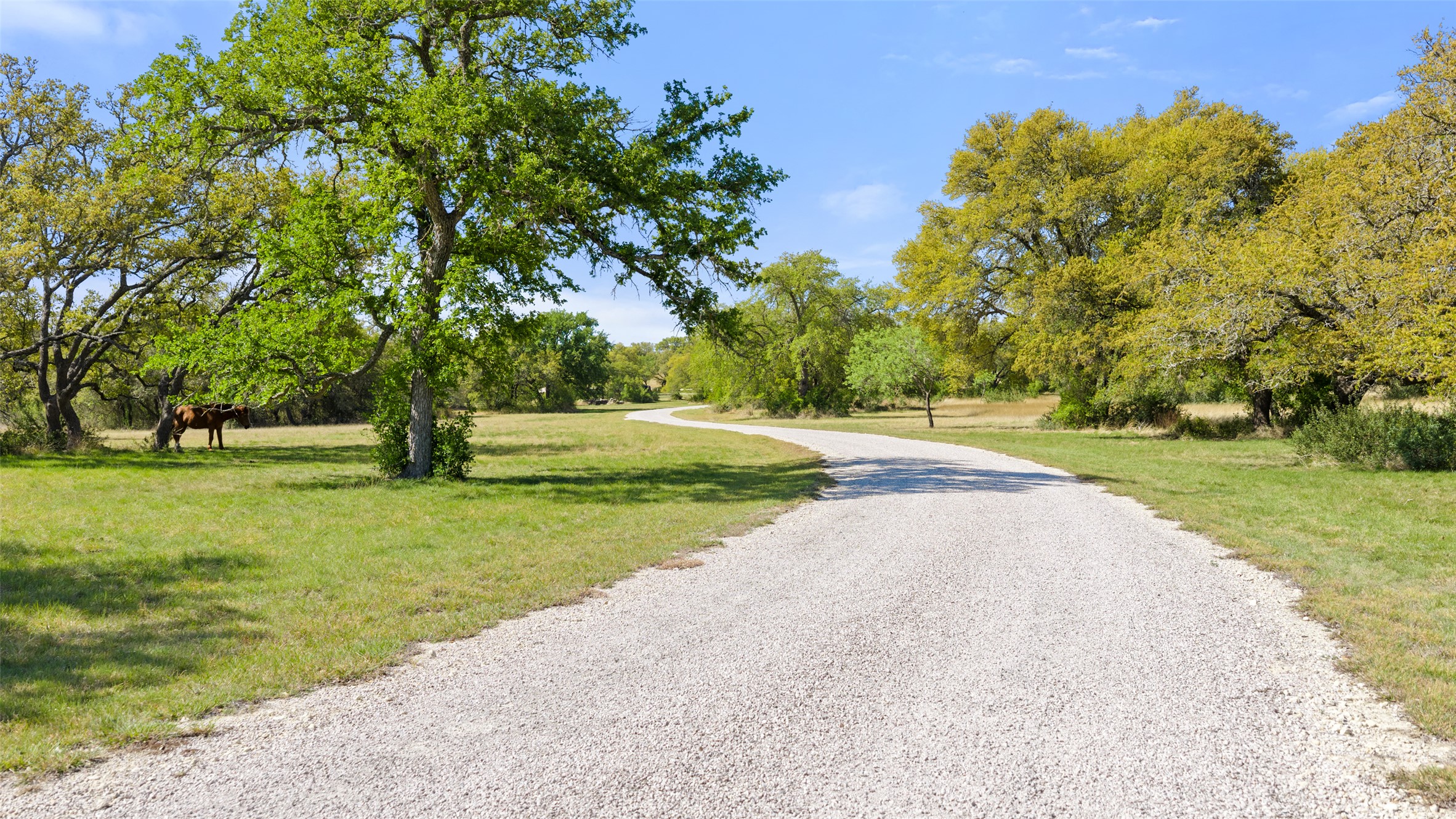 546 Lazy Oak Road Hye, TX 78635 - Photo 19 of 34 a view of a park with large trees