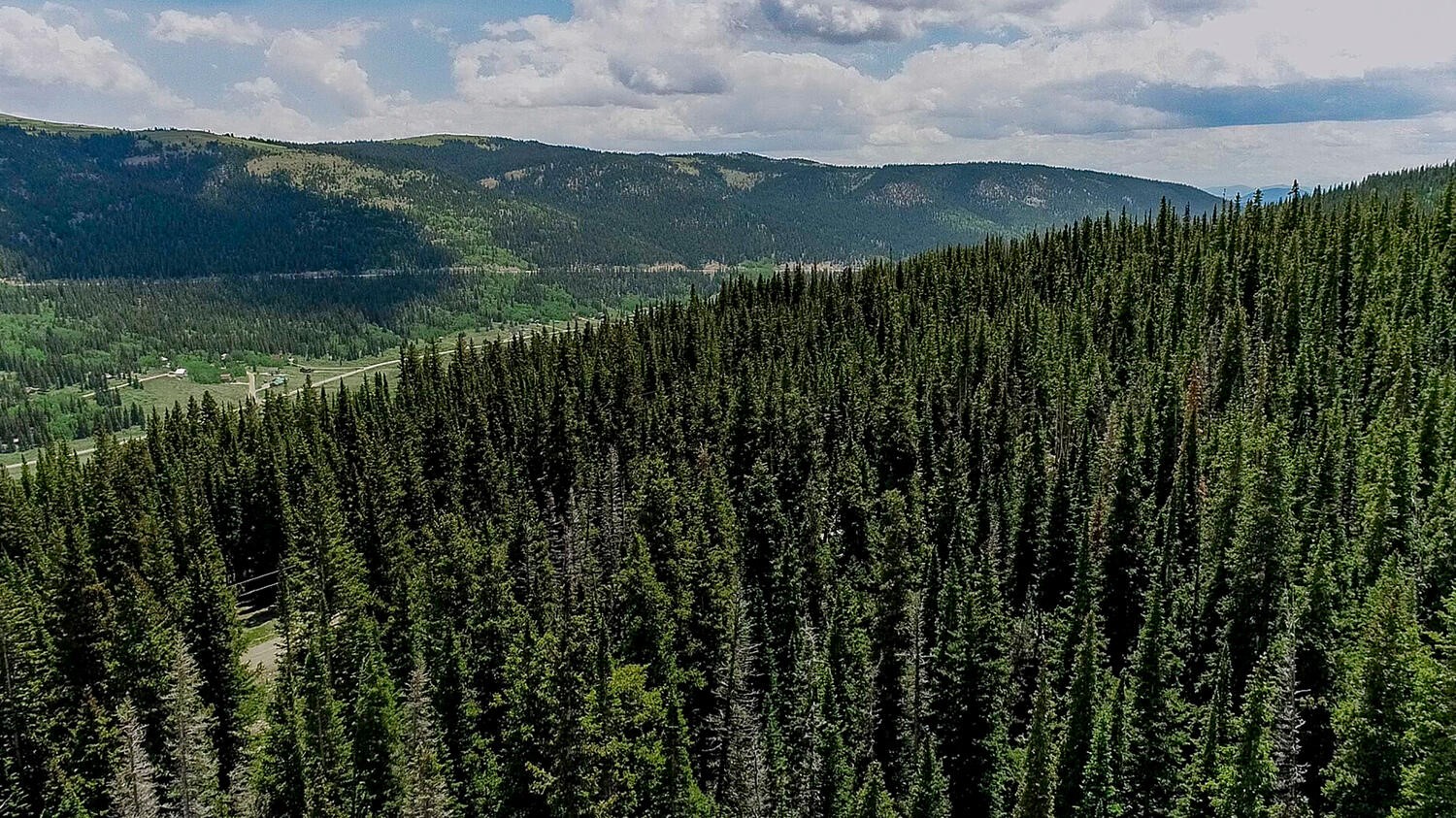 127 Ansley Road Alma, CO 80420 - Photo 13 of 21 Property view of mountains with a view of trees