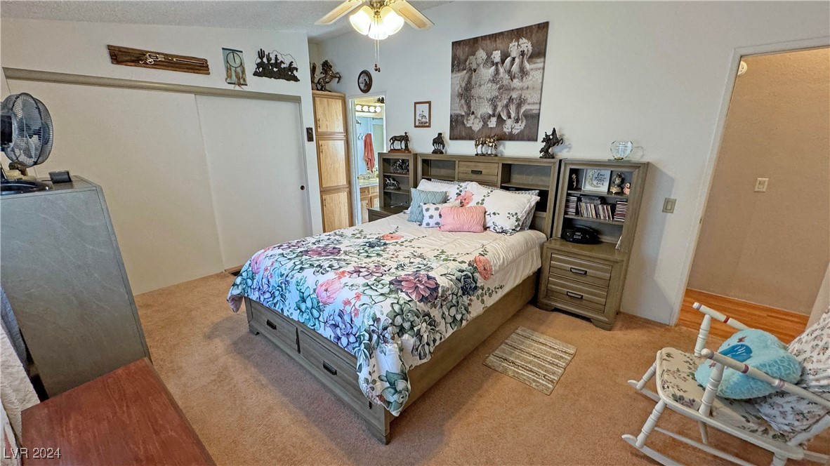 4800 Laughlin Road Pahrump, NV 89048 - Photo 24 of 56