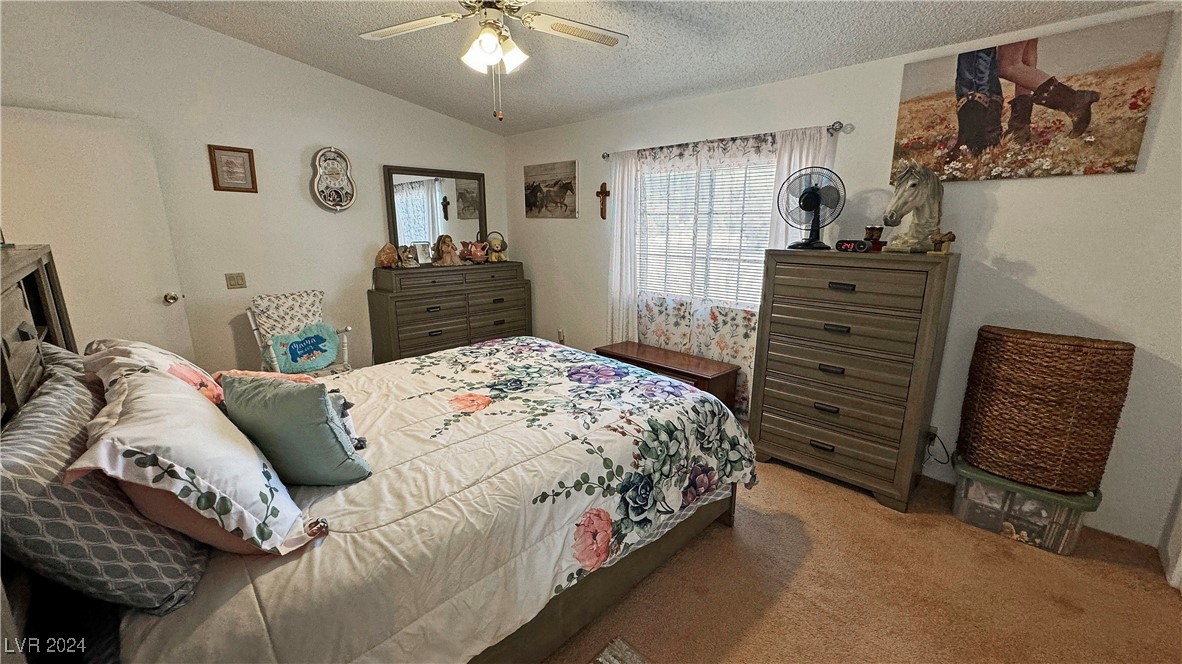 4800 Laughlin Road Pahrump, NV 89048 - Photo 25 of 56