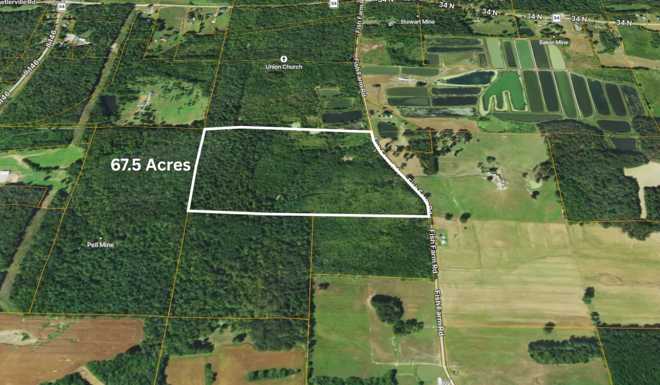 70 Fish Farm Road Golconda, IL 62938 - Photo 8 of 19