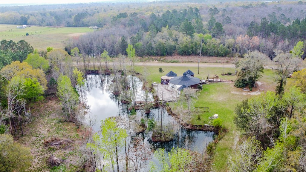 2430 Chase Road Samson, AL 36477 - Photo 34 of 46
