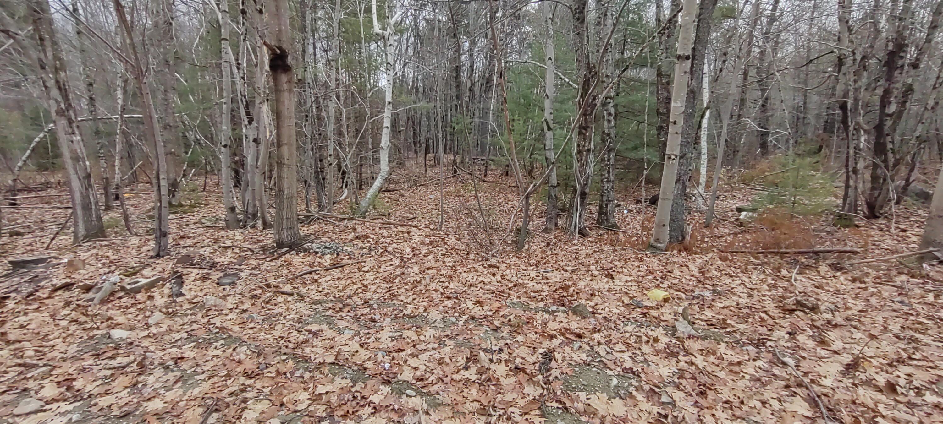 757 Coldbrook Road Hermon, ME 04401 - Photo 14 of 20 IMG_20211115_142455290