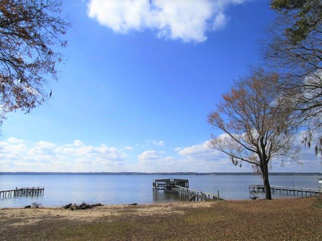 2584 Princess Pond Road Summerton, SC 29148 - Photo 1 of 31 Big Water View