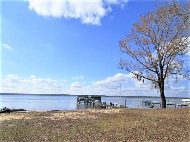 2584 Princess Pond Road Summerton, SC 29148 - Photo 2 of 31 Sandy Beach